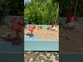 sommerliche miniatur deko basteln mit neuheiten von creal