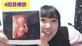 性別判明の瞬間！？男の子エコー写真！検診内容/健診費用【妊娠5か月目検診】