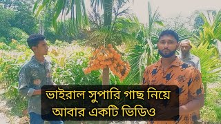 ভাইরাল সুপারি গাছ নিয়ে আবার নতুন একটি ভিডিও | ভিডিওটি না দেখলে মিস করবেন