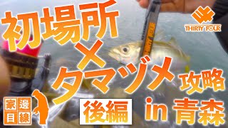 【家邊目線#18】初場所✕夕マヅメ攻略 in 青森(後編)【34のアジング実釣動画】