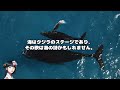 海の詩　クジラはなぜ歌うのか？　動物のコミュニケーション