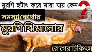 মরে যাবে যাবে এমন মুরগি যেভাবে সুস্থ রাখলাম ২০২৫। দেশি মুরগি পালন।