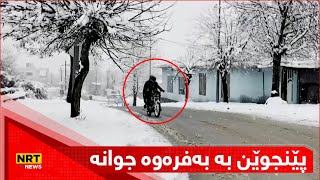 دانیشتووانی پێنجوێن دڵخۆشن بەبارینی بەفر و دەڵێن: ترسی وشکەساڵی کەمکردووەتەوە