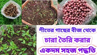 যেকোনো বীজ থেকে চারা তৈরি করার সহজ পদ্ধতি/ Easy to grow winter vegetable seeds/Green Friends/