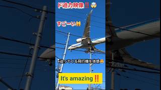 【ド迫力映像‼️🤯すごーい🙀迫ってくる飛行機を体感🤩】#ANA #plane #飛行機 #飛行場 #비행기 #shorts #伊丹空港 #オススメスポット #JAL #airport #amazing