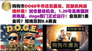 狗狗币DOGE牛市还在暴涨，巨鲸机构进场抄底！加仓最佳机会，1.20号是美国政府换届，doge部门正式运行！马斯克继续喊单DOGE，短线涨到0.6美金#DOGE币#马斯克狗狗币#DOGE行情分析!