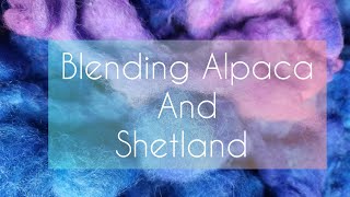 Blending Alpaca and Shetland