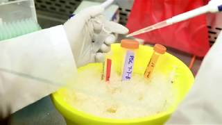 Engineering Career Exploration: Biomedical Engineering