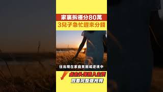 家裏拆遷分80萬，3兒子來分錢，親生父親毫不猶豫地說壹分都不給【小雪情感屋】#情感故事 #家庭情感 #家庭矛盾#婚姻家庭 #老年生活