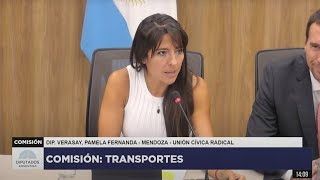 COMISIÓN COMPLETA: TRANSPORTES - 20 de febrero de 2025 - INVITADOS | Diputados Argentina