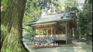 「ここに広がるのは幻想の世界…」大山祇神社紅葉ライトアップ