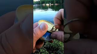 Easy Way To Chum for Fishing