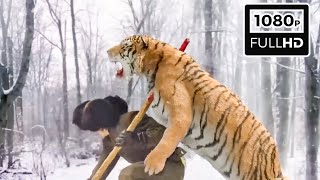 A tough guy encounters a sneak attack by a tiger in the forest