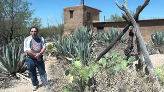 DeGrazia Gallery in the Sun