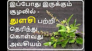 இப்போது இருக்கும் சூழலில் - துளசி பற்றி தெரிந்து கொள்வது அவசியம்  .. !  | Thulasi - Health Benefits