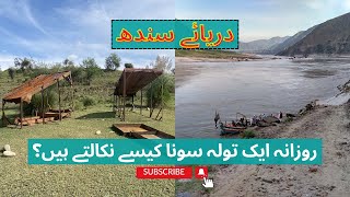 Finding Gold In Darya E Sindh || Gold Mining In Sind River || The Sound Of Gold In Sind River.