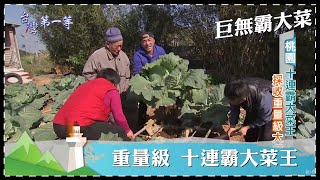 台灣第一等【巨無霸大菜 300公斤南瓜奇人／天霸王巨竹筍／十連霸大菜王 一公尺蘿蔔妖精】 _精選特輯 #好家在我在家