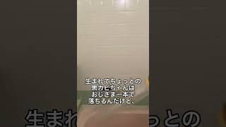 頑固黒カビ様　#shorts  #short #shortvideo #黒カビ　#頑固汚れ　#掃除 #お風呂掃除