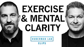 How Exercise Increases Mental Clarity | Dr. Ethan Kross \u0026 Dr. Andrew Huberman