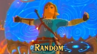 Random BOTW things that you might actually like?