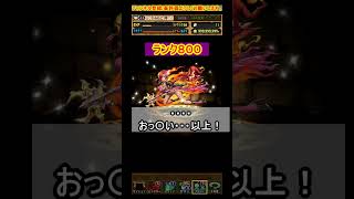 【パズドラ】ランク150～1100メモリアルガチャの結果が〇〇過ぎたｗｗｗ【11大リセット】【メモリアルガチャ】【ガチャ】#shorts