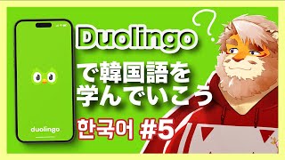 【Duolingo】もうやるしかない！韓国語学習【花鎧照虎】