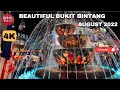 [4K] Beautiful Bukit Bintang Kuala Lumpur