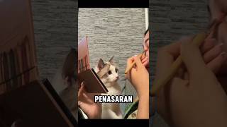 Apakah kucing ini ingin tampil cantik juga?,..segitu penasarannya #catlover #cat #kucing