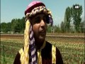 kashmir s scenic tulip garden draws surge of tourists