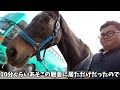 怒っている白馬にわざと煽る栗毛の牝馬がヤバすぎた…。絶対にわざとだろ！！【ツルマルボーイ様のシモベ】