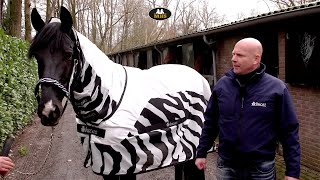 Bucas | Buzz-Off Rain Zebra Full Neck | Fly rug