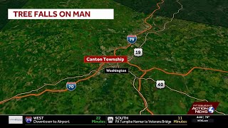Dispatch: Coroner responds after man becomes pinned under tree in Washington County