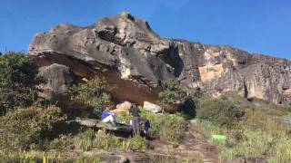 Auyan Tepui // 12 Tage Trekkingtour / Venezuela