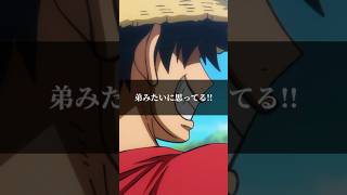 【ワンピース】ルフィ「弟みたいに思ってる」 #shorts #ワンピース #onepiece