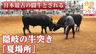 牛突き大会・夏場所（隠岐） 衆目くぎ付けの真剣勝負　【未来へつなぐ ～山陰の祭り・行事〈2〉】