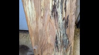 Wood Planing Spalted Elm video