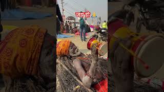 Kate wale baba Jay ho #prayagrajkumbh #latestnews #sangam #prayagrajkumbhmela