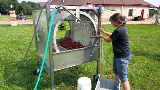 Stainless Steel Vegetable Barrel Washer   Root Washer