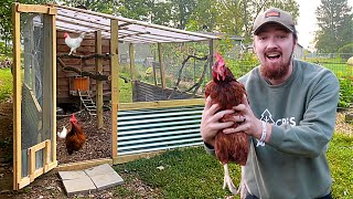 FARMER Builds DREAM Chicken Coop Run And PLAYGROUND