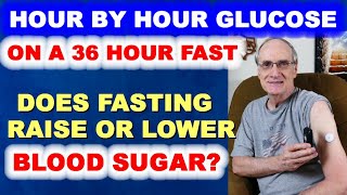 Hour by Hour Glucose Readings on My 36-Hour Fast