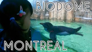 【BIODÔME DE MONTRÉAL 】AQUARIUM   MONTREAL  CANADA