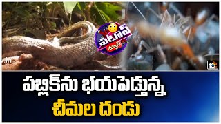 పబ్లిక్కును భయపెడ్తున్నది చీమల దండు | Public Fear For Ants | Patas News | 10TV