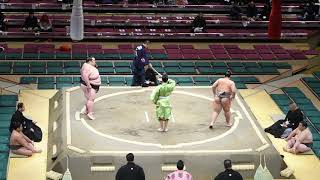 239kg Heaviest Kenho SUMO 初場所　2020　＃大相撲　＃相撲　＃初場所　＃令和二年　＃sumo ＃Jan. ＃服部桜　＃服部桜チャンネル