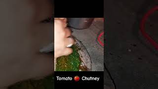 चूल्हे की चटपटी टमाटर की चटनी #chatni #dimplecrunch #shorts #short #villagefood