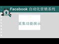 fb全功能自动营销