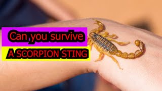 HOW TO SURVIVE A SCORPION STING