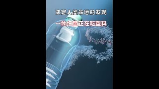 一種基因突變的細菌，正在吃人類的塑料！ 人類解決不了的問題，大自然總有辦法！#科普 #科學高光故事集