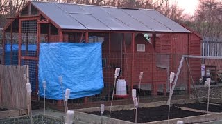 Weaste Allotments 07-02-2015