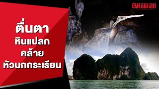 ตื่นตาหินแปลกคล้ายหัวนกกระเรียน | คมทั่วไป