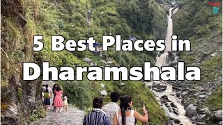 5 Best Places to Visit in Dharamshala | Dharamshala Tourist Places | Telugu Bucket